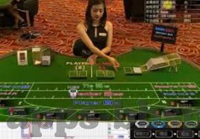 世界杯沙特人民-世界杯，沙特人民的激情与梦想