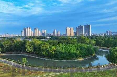 手游九州异闻录vip版下载-沉浸式手游新体验，九州异闻录VIP版下载指南