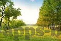 雪原园足球比分直播-雪原园足球比分直播，冰天雪地中的激情传递